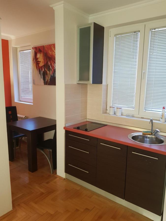 Rajiceva 5- Apartman Sa Prostranom Terasom I Garaznim Mestom Kragujevac Luaran gambar
