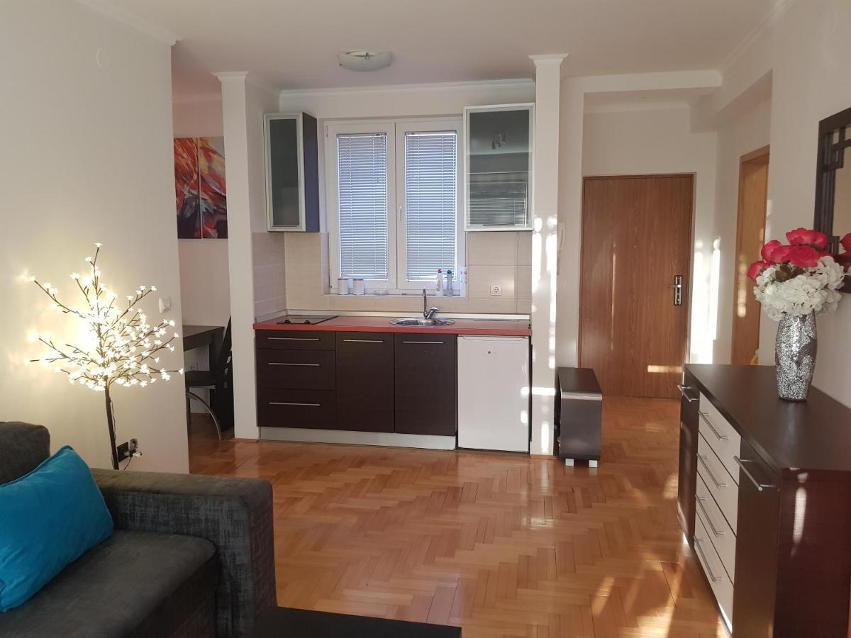 Rajiceva 5- Apartman Sa Prostranom Terasom I Garaznim Mestom Kragujevac Luaran gambar