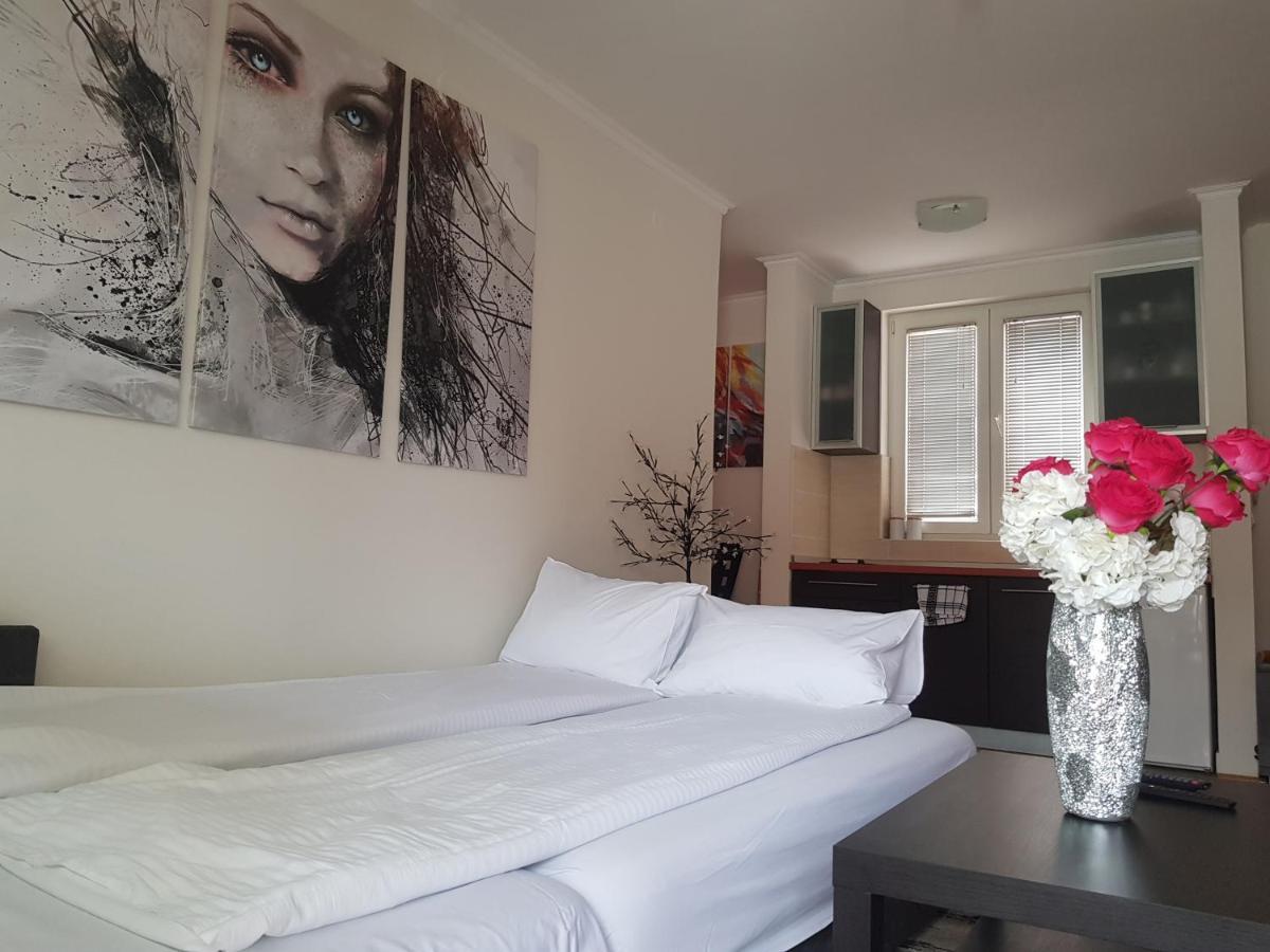 Rajiceva 5- Apartman Sa Prostranom Terasom I Garaznim Mestom Kragujevac Luaran gambar